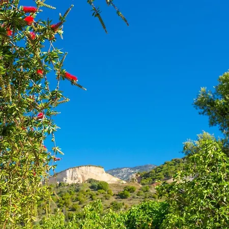 Russa Dionisis * Trapezaki (Kefalonia)